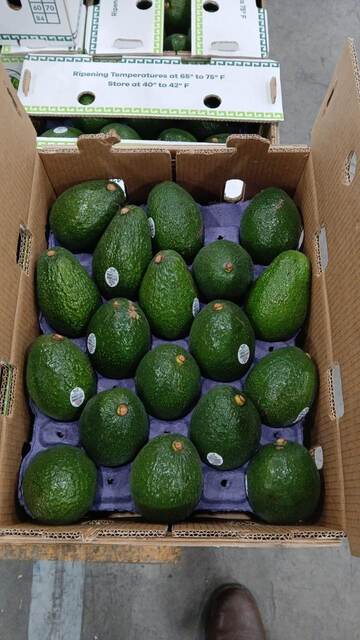 Empaque de aguacate
